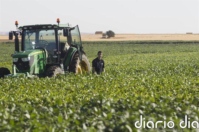 Molinos Agro y la Asociación de Cooperativas Argentinas construirán una planta de molienda por 437,6 millones