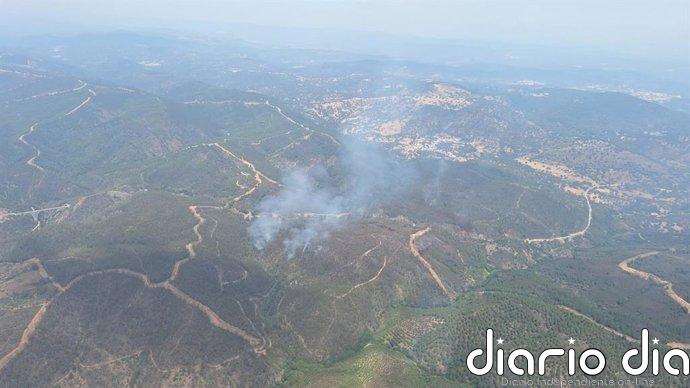 Moreno pide colaboración ciudadana para evitar incendios y asegura que se está siguiendo a algunos "pirómanos"