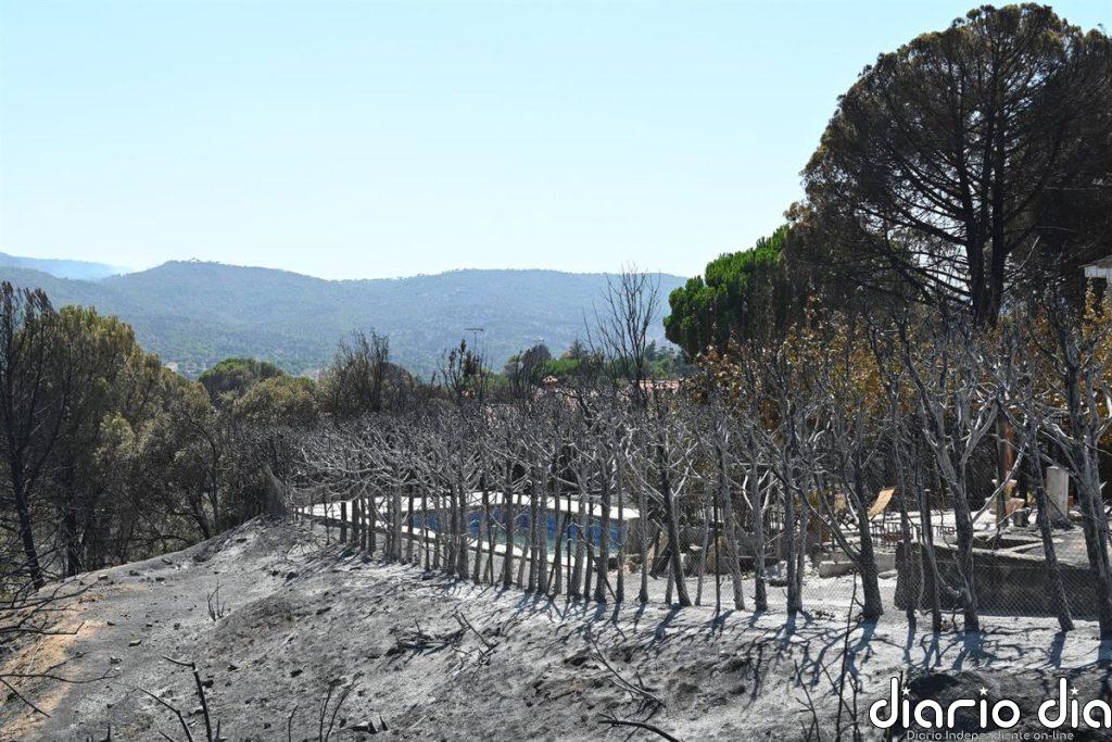Notarios activan "medidas urgentes y asesoramiento gratuito" ante la pérdida de escrituras por los incendios