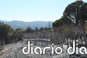 Notarios activan "medidas urgentes y asesoramiento gratuito" ante la pérdida de escrituras por los incendios