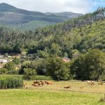 Organizaciones agrarias valoran los avances del nuevo baremo de daños, pero exigen solventar "las carencias"
