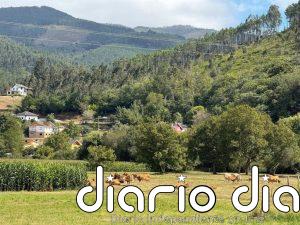 Organizaciones agrarias valoran los avances del nuevo baremo de daños, pero exigen solventar "las carencias"