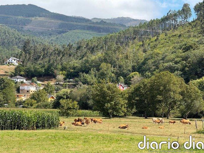 Organizaciones agrarias valoran los avances del nuevo baremo de daños, pero exigen solventar "las carencias"