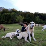 Origen España reclama ayudas específicas y menos burocracia para garantizar el relevo generacional en el campo