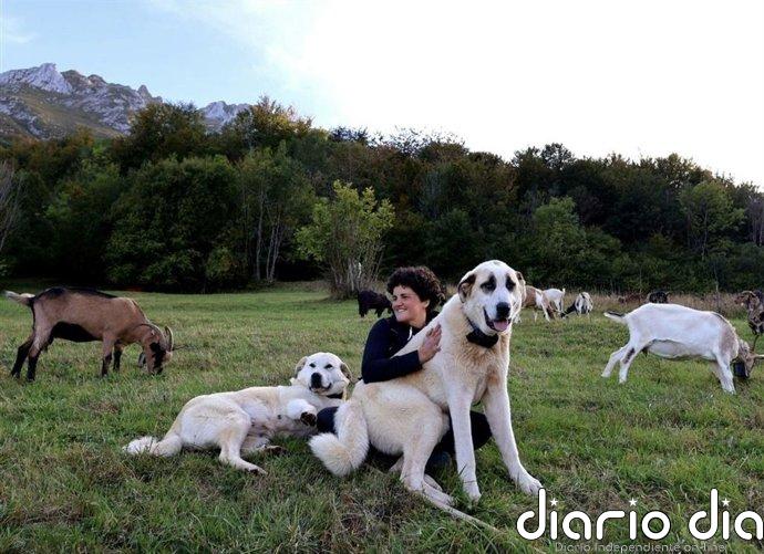 Origen España reclama ayudas específicas y menos burocracia para garantizar el relevo generacional en el campo