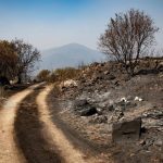 Oxfam Intermón reclama, ante la gravedad de los incendios, una respuesta "ambiciosa" que proteja a los más vulnerables