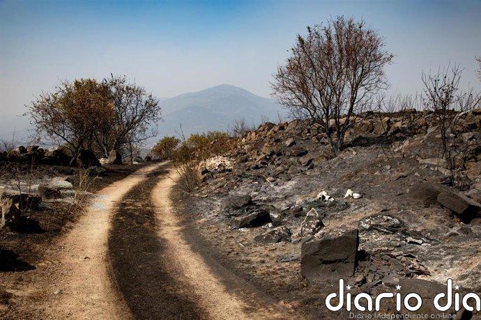Oxfam Intermón reclama, ante la gravedad de los incendios, una respuesta "ambiciosa" que proteja a los más vulnerables