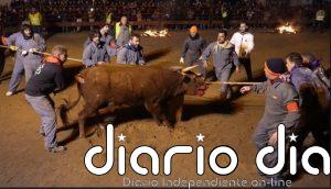 PACMA recurre la declaración del Toro Jubilo de Medinaceli (Soria) como BIC