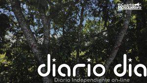 Parque solar en Colombia genera rechazo por tala de miles de árboles