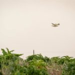 Perimetrado el incendio de Villalbilla, que "no va a progresar"