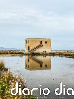 PHotoEspaña renueva su colaboración con Purificación García y convoca una nueva edición de #EncuentraTuCubo