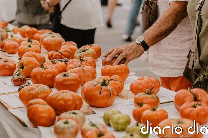 Polanco y el Banco de Semillas de Tomate Antiguo buscan aquellas heredadas en las huertas cántabras