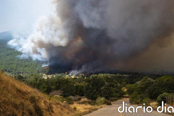 Policía Nacional envía 150 agentes a Zarzalejos y San Lorenzo de El Escorial (Madrid) en apoyo a servicios de emergencia