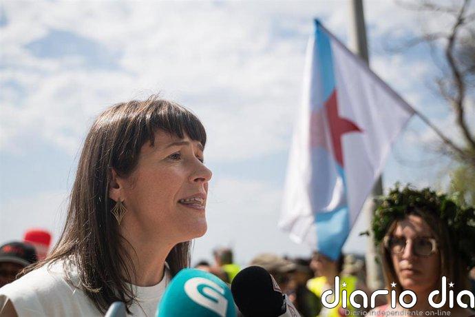 Pontón exige frenar la "eucaliptización" de Galicia y apostar por un monte "limpio, ordenado y multifuncional"