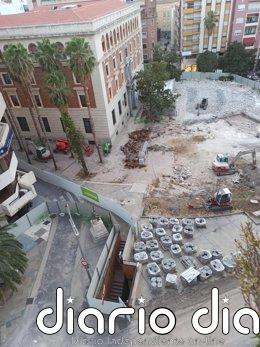 PP de Jaén exige informes que avalen la "tala indiscriminada" de cuatro palmeras históricas en plaza de la Constitución