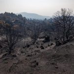 Protección Civil pide precaución ante la "tormenta perfecta" para los incendios con la nueva ola de calor