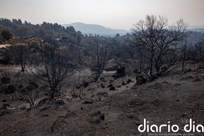 Protección Civil pide precaución ante la "tormenta perfecta" para los incendios con la nueva ola de calor