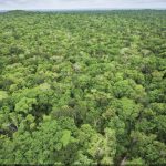 Proyectos solares vs comunidades mayas entran en nueva etapa