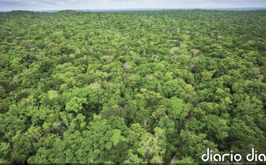 Proyectos solares vs comunidades mayas entran en nueva etapa