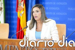PSOE-A incide en denunciar el "ataque" de la Junta a la "igualdad de oportunidades" con "recortes" en educación pública
