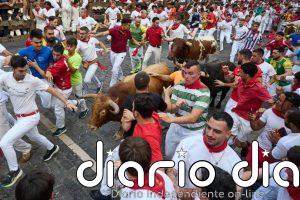 Rápido y accidentado encierro de La Palmosilla con un herido por asta de toro