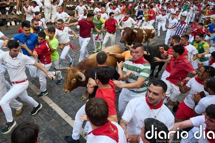 Rápido y accidentado encierro de La Palmosilla con un herido por asta de toro