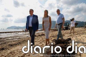 Retiradas 230 toneladas de alga asiática de la playa de Trengandín de Noja