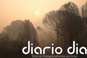 Rueda comparte que las "causas climáticas" influyen en los fuegos, pero pide no solo "teorizar" sino "actuar"