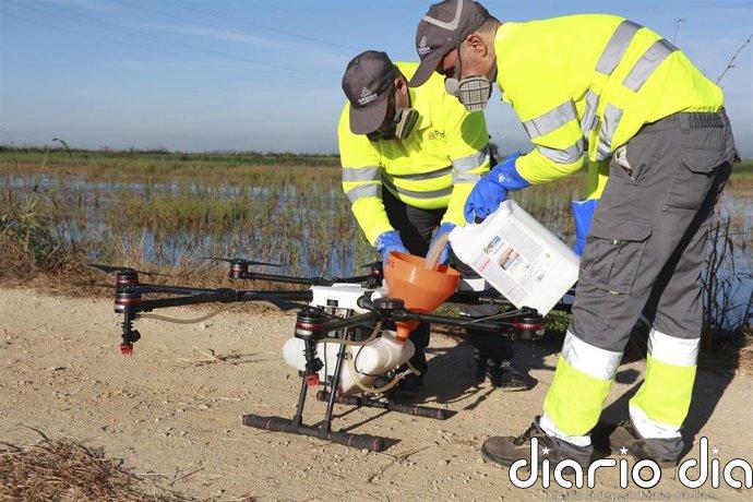 Sanidad declara área en alerta por virus del Nilo occidental el municipio de Torredonjimeno (Jaén)