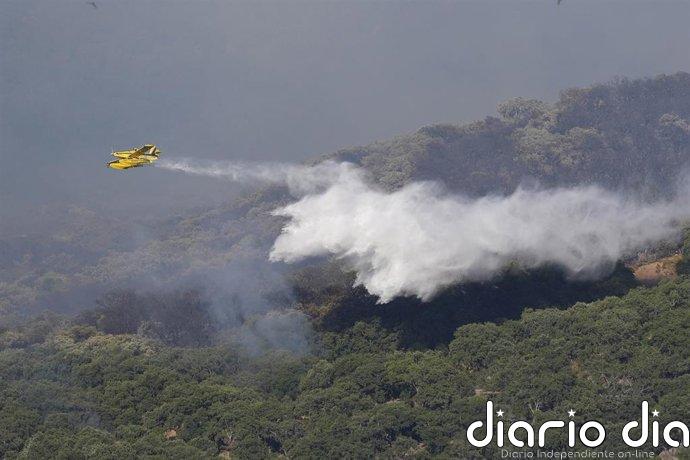 Sanz señala que el incendio de Grazalema (Cádiz) es "complejo" por viento e influencia topográfica