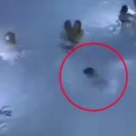 Se disparan los casos de niños ahogados en España especialmente en piscinas