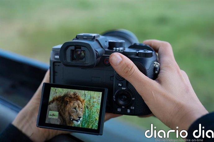 Sony presenta su nueva cámara todo en uno RX10 V, que llega con superzoom y enfoque automático con IA