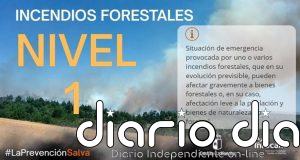 Sube a Nivel 1 el incendio forestal iniciado en Almodóvar del Campo, por afectación al tráfico ferroviario