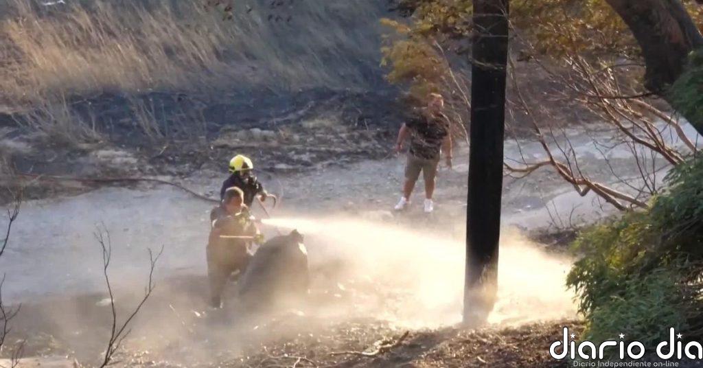 Tres bomberos fallecen en los incendios de Grecia