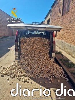 Tres investigados en Aceuchal por el hurto de casi dos toneladas de ajos morados en Tarazona de la Mancha Furgoneta en la que trasladaban los ajos robados