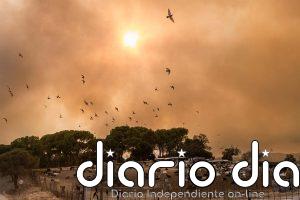 Última hora de los incendios forestales en España, en directo: focos activos, zonas afectadas y evacuaciones
