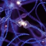 Un compuesto podría cambiar el tratamiento del Parkinson: potencia la L-DOPA y reduce sus efectos secundarios
