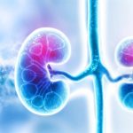 Un estudio asocia la periodontitis con marcadores de enfermedad renal crónica en etapas tempranas