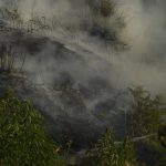 Un incendio declarado en Ourol (Lugo) calcina 7 hectáreas en la parroquia de Merille