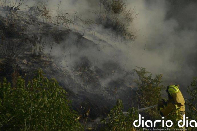 Un incendio declarado en Ourol (Lugo) calcina 7 hectáreas en la parroquia de Merille