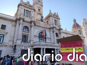 Una concentración ante el Ayuntamiento de València alerta de la mercantilización de protección animal: "Es exterminio"