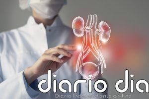 Una terapia CAR-T logra eliminar tumores de vejiga en ratones y acerca una alternativa a su extirpación