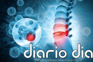 Una terapia con células madre da un paso clave para tratar la lesión medular crónica