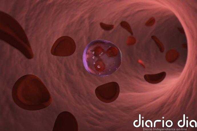 Una terapia experimental muestra resultados prometedores contra una de las leucemias más difíciles de tratar