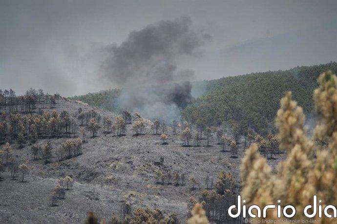 Unas 9.000 hectáreas quemadas, 16 pueblos evacuados y 700 afectados en el incendio de La Mierla (Guadalajara)