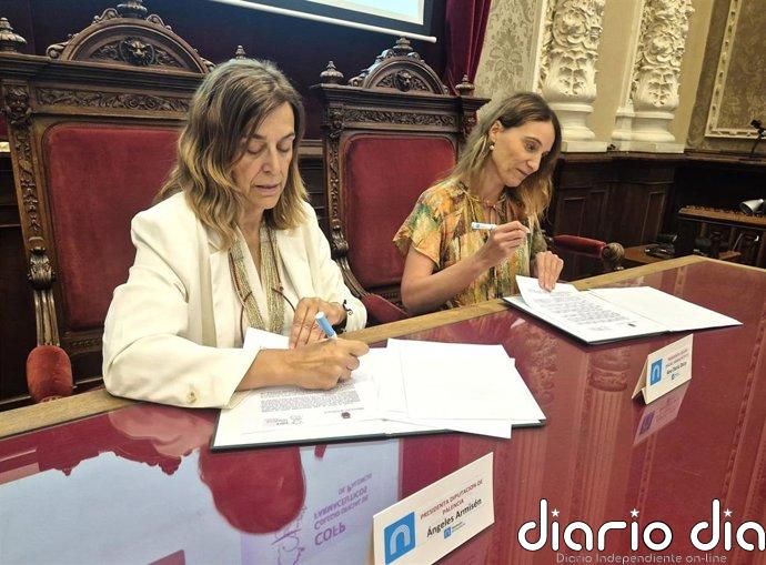 'Unidosis' de Diputación de Palencia y los farmacéuticos llega a 291 usuarios