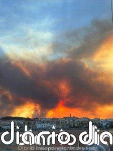 Unos 200 efectivos de la UME dan apoyo en el incendio de Los Gallardos (Almería), con evolución "desfavorable"