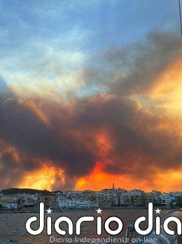 Unos 200 efectivos de la UME dan apoyo en el incendio de Los Gallardos (Almería), con evolución "desfavorable"