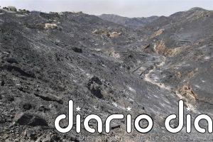 Unos 46 efectivos y tres autobombas trabajan esta noche en el remate del incendio de Los Gallardos (Almería)