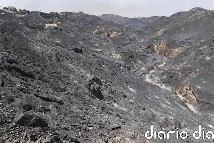 Unos 46 efectivos y tres autobombas trabajan esta noche en el remate del incendio de Los Gallardos (Almería)